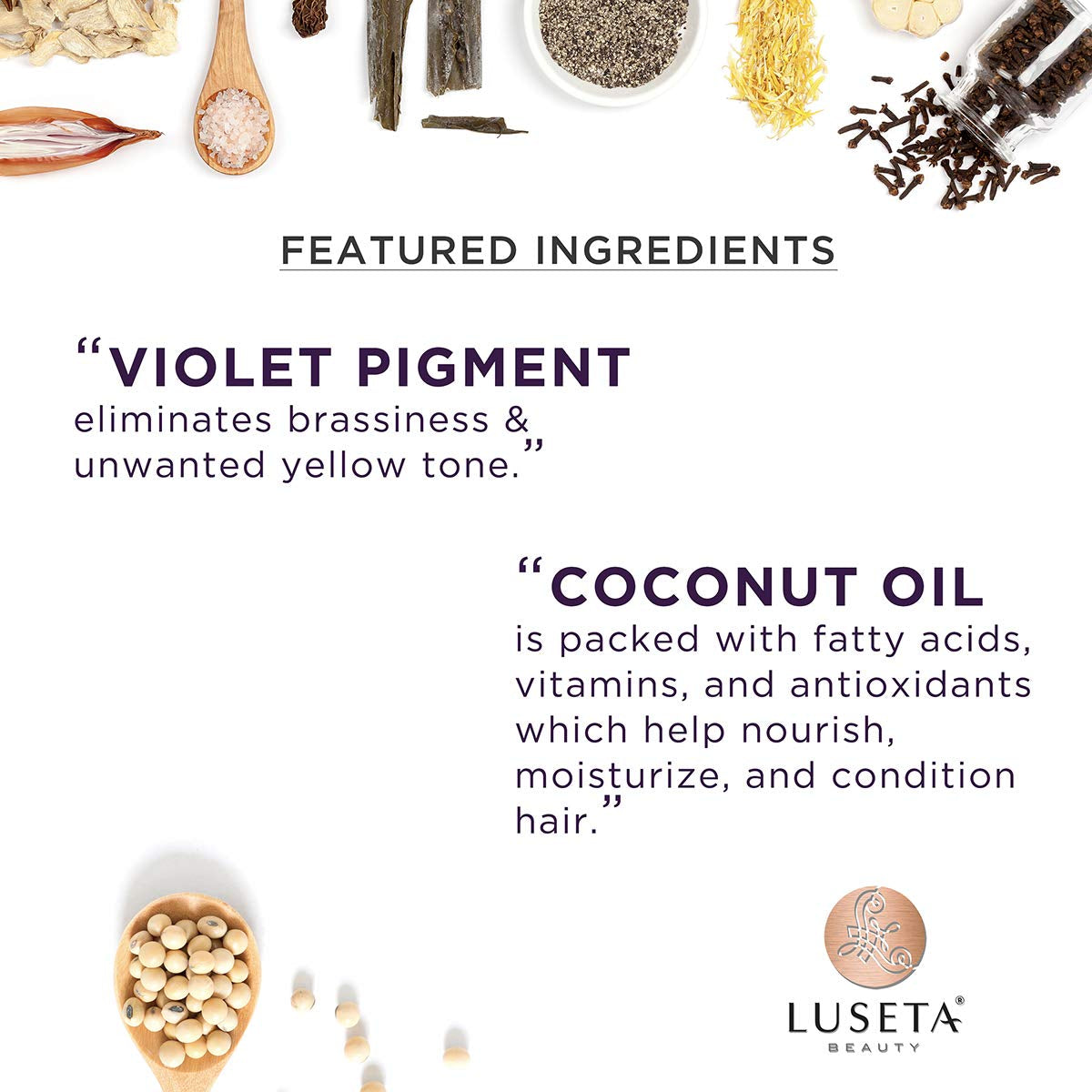 Luseta Purple Conditioner for Colored, Grey and Blonde Women'S Hair - 33.8Oz, Best for Curly and Damaged Hair, Sulfate & Paraben Free