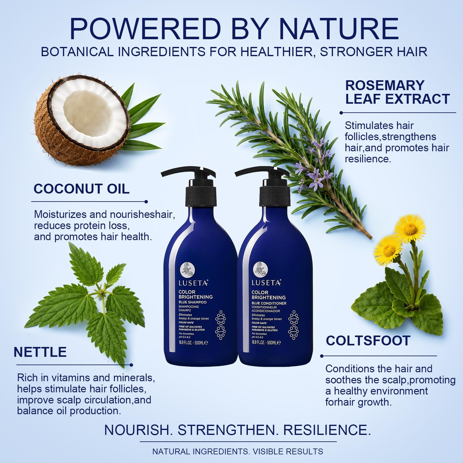 Luseta Blue Shampoo for Brassy Hair and Brunettes, Level up Tones down Orange & Copper Hues, Blue Shampoo and Conditioner for Color Treated Hair, Targets Brassy and Refresh Cool-Toned Colors 2X16.9Oz