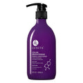 Luseta Purple Conditioner for Colored, Grey, Blonde & Dry/Damaged Hair - Women'S Sulfate & Paraben Free, 16.9Oz